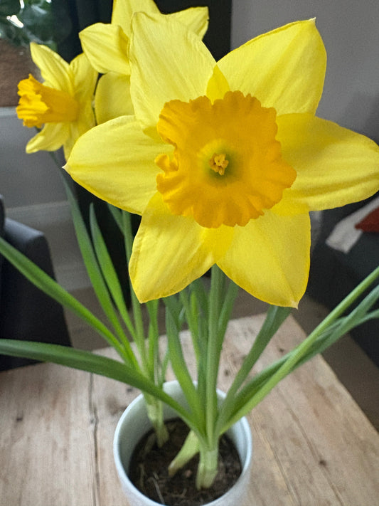 Några tankar så här dagen efter